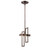 Satco 62-126 Frame; 1 Module Pendant with Frosted Glass