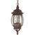 Satco 60-895 Central Park; 3 Light; 20 in.; Hanging Lantern with Clear Beveled Glass
