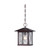 VEGA 1 LT OUTDOOR HANGING