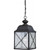Satco 60-5624 Wingate; 1 light; Outdoor Hanging Fixture with Clear Seed Glass