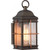 Satco 60-5831 Howell; 1 Light; Small Outdoor Wall Fixture with 60W Vintage Lamp Included; Bronze with Copper Accents Finish