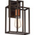 Satco 60-5851 Lake; 1 Light; Wall Sconce; Forest Bronze with Copper Accents Finish