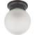 Satco 60-6012 1 Light; 6 in.; Ceiling Mount with Frosted White Glass; Color retail packaging