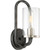 Satco 60-6121 1 Light; Sherwood Wall Sconce; Iron Black with Brushed Nickel Accents Finish; Clear Glass; Lamp Included