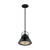 Satco 60-7063 Upton; 1 Light; Small Pendant Fixture; Gloss Black Finish with Silver and Textured Black Accents