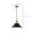 OUTPOST 1 LIGHT MEDIUM PENDANT