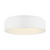 ORBIT LED 30W FLUSH MOUNT