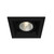 Eurofase Lighting TE161-01 Black Te161 1-Light, Multiple Recessed, Par20