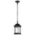 Nuvo 60-6117 HOPKINS 1LT OUTDOOR HANGING Hopkins Outdoor Hanging Lantern 1 Light Matte Black Finish Clear Glass