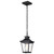 Nuvo 60-5746 JASPER 1LT OUTDOOR HANGING Jasper Outdoor Hanging Lantern 1 Light Black Matte Finish Clear Glass