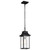 Nuvo 60-5996 AUSTEN 1LT OUTDOOR HANGING Austen Outdoor Hanging Lantern 1 Light Matte Black Finish Clear Water Glass