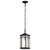 Nuvo 60-5759 RAIDEN 1LT OUTDOOR HANGING Raiden Outdoor Hanging Lantern 1 Light Matte Black Clear Seeded Glass