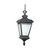 Nuvo 60-2524 CHARTER ES 2 LT HANGING LANT Charter ES 2 Light Hanging Lantern with White Water Glass Lamp Included (Discontinued)