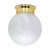 Nuvo 60-256 1 LT - 8" BALL FLUSH FIXTURE 1 Light 8 in. Ceiling Mount Alabaster Ball (Discontinued)