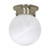 Nuvo 60-3189 1 LIGHT ES 6" BALL CEILING 1 Light 6 in. Ceiling Mount with Alabaster Glass (1) 13W GU24 Lamp Included (Discontinued)