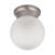 Nuvo 60-3299 1 LIGHT ES 6" BALL CEILING 1 Light 6 in. Ceiling Mount with Frosted White Glass (1) 13W GU24 Lamp Included (Discontinued)
