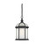Nuvo 60-4999 BOXWOOD ES 1 LGT OUTDOOR HANG Boxwood ES 1 Light 14 in. Outdoor Hang with Frosted Glass (1) 18W GU24 Base Lamp Included (Discontinued)