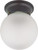 Nuvo 62-1018 LED 1 LIGHT 6" BALL- LAMP INCL 1 Light LED 6 in. Ball Flush Fixture Mahogany Bronze Finish Frosted Glass Lamp Included (Discontinued)
