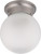 Nuvo 62-1118 LED 1 LIGHT 6" BALL- LAMP INCL 1 Light LED 6 in. Ball Flush Fixture Brushed Nickel Finish Frosted Glass Lamp Included (Discontinued)