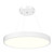 Westgate Lighting SCR-24D-MCTP-D LED ARCHITECHTURAL 24in ROUND - LED Commercial Lighting