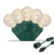 Wintergreen Corporation 21996 25 G12 Warm White Commercial LED String Lights, Lights, Green Wire, 4" Spacing
