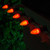 WGC-72621 - C7 Amber LED OptiCore Bulbs, 25-Pack - Wintergreen Corporation