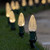 WGC-72636 - C9 Warm White LED OptiCore Bulbs, Box of 25, 25-Pack - Wintergreen Corporation
