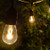 Wintergreen Corporation 80970 45' Warm White FlexFilament LED Patio String Light Set with 15 S14 Bulbs on Black Wire, with Drops