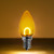 Wintergreen Corporation 80644 C7 Transparent Shatterproof Gold FlexFilament LED Bulbs
