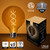 WGC-76258 - G95 Warm White LED FlexFilament Antiqued Glass Globe Light Edison Bulbs - Wintergreen Corporation