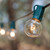 WGC-15106 - C9 E17 Intermediate Light Stringer, 7 Amp SPT1W, 50', Green Wire, 12" Spacing - Wintergreen Corporation