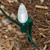 WGC-50007 - 7.5" All-in-One Light Stake, 100-Pack - Wintergreen Corporation