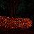 WGC-76397 - 4'x6' Mini Purple/Orange Incandescent Christmas Net Lights, 150 Lights, Black Wire - Wintergreen Corporation