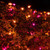 WGC-76397 - 4'x6' Mini Purple/Orange Incandescent Christmas Net Lights, 150 Lights, Black Wire - Wintergreen Corporation