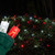 WGC-72481 - 4'x6' 5mm Cool White/Red LED Twinkle Christmas Net Lights, 100 Lights, Green Wire - Wintergreen Corporation
