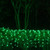 WGC-72500 - 4'x6' M5 Green LED Christmas Net Lights, 100 Lights, Green Wire - Wintergreen Corporation