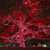 WGC-74372 - Mini Red Incandescent ViviLuxe Christmas Lights, 100 Lights, 46.3', Green Wire, 5.5" Spacing - Wintergreen Corporation