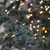 WGC-15203 - Mini Clear Incandescent Standard Lights, 100 Lights, 50.5', Green Wire, 6" Spacing - Wintergreen Corporation