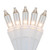 Wintergreen Corporation 15200 100 Clear Mini Lights, White Wire, 4" Spacing