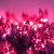 WGC-15205 - Mini Pink Incandescent Standard Lights, 100 Lights, 50.5', Green Wire, 6" Spacing - Wintergreen Corporation