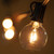 WGC-18769 - G40 Clear Incandescent Transparent, 7 Watt Light Bulbs, E12 Base, 25-Pack - Wintergreen Corporation
