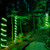 WGC-80346 - Green LED Rope Light, 150' - Wintergreen Corporation