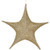 Wintergreen Corporation 78655 16" Gold Polymesh Unlit Fold Flat Commercial Star