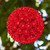 WGC-70197 - 10" Red Incandescent Starlight Sphere, 150 Lights, Green Wire - Wintergreen Corporation