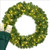 Wintergreen Corporation 21129 30" Commercial Sequoia Fir Prelit Wreath, 100 Warm White LED 5mm Lights