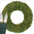 Wintergreen Corporation 18882 72" Commercial Sequoia Fir Prelit Wreath, 600 Clear Mini Lights