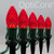 Wintergreen Corporation 81139 C7 Red OptiCore Christmas LED Pathway Lights, 25 Lights, 4.5 Inch Stakes, 25'