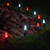 WGC-80185 - C7 Red/Cool White LED OptiCore Commercial Lights, 50 Lights, 50', Green Wire, 12" Spacing - Wintergreen Corporation