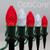 Wintergreen Corporation 81144 C7 Cool White / Red OptiCore Christmas LED Pathway Lights, 50 Lights, 4.5 Inch Stakes, 50'