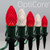 Wintergreen Corporation 81146 C7 Red / Warm White OptiCore Christmas LED Pathway Lights, 50 Lights, 4.5 Inch Stakes, 50'